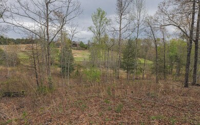 Additional View