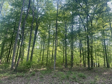 0 Excalibur Trail unit RTC3050266, Cedar Grove, TN 38321 - photo 7