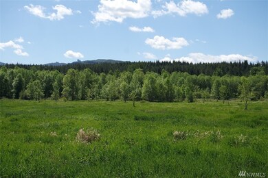 18333 Bald Hill Rd SE, Yelm, WA 98597 - photo 4