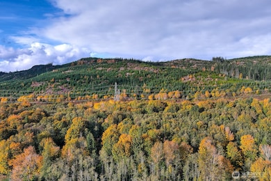 0 132nd St SE, Sultan, WA 98294 - photo 4