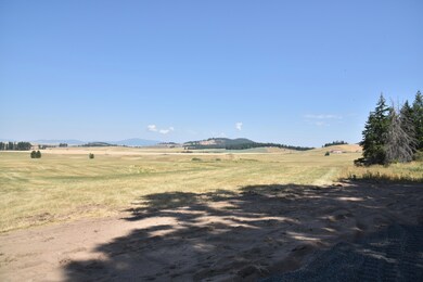 Pebblestone Dr, Plummer, ID 83851 - photo 7