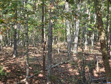 388 Mahanes Rd, Gordonsville, VA 22942 - photo 6