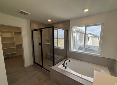 Full bathroom with a walk in closet, a bath, a stall shower, and recessed lighting