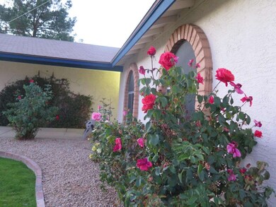 Mature blooming roses