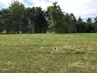 8 Laws Rd, Greeneville, TN 37743 - photo 2
