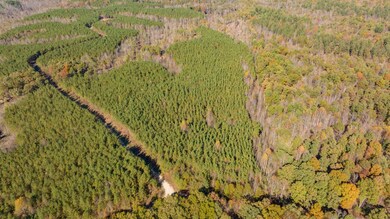 0 Old Highway 18 Tract 11, Stewart, TN 37175 - photo 6