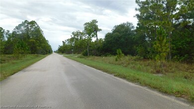 362 Jack Weisser Blvd, Lake Placid, FL 33852 - photo 3