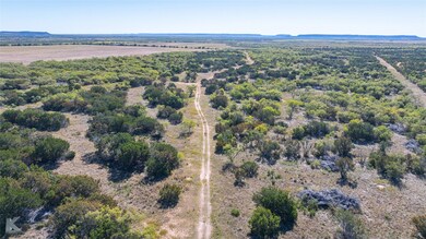 ot 1 County Road 205, Ovalo, TX 79541 - photo 6
