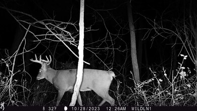 +/-25 Acres Bee Ln, Lancaster, WI 53813 - photo 4