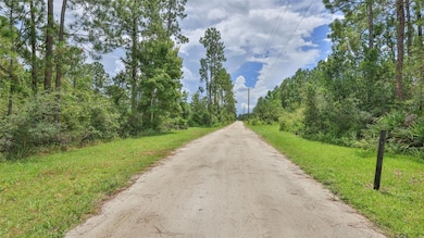 4706 Omega Ranch Rd, New Smyrna Beach, FL 32168 - photo 2