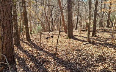 Additional View