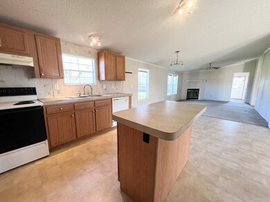 232 Bowles St SW, Baconton, GA 31716 - photo 3