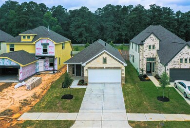 10434 Astor Point Trail, Tomball, TX 77375 - photo 2