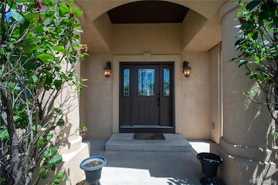 16983 Carriage Horse Dr, Colorado Springs, CO 80921 - photo 3