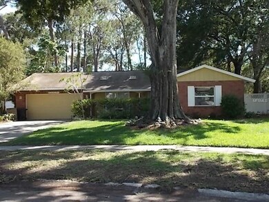Majestic tree adorns front of home!