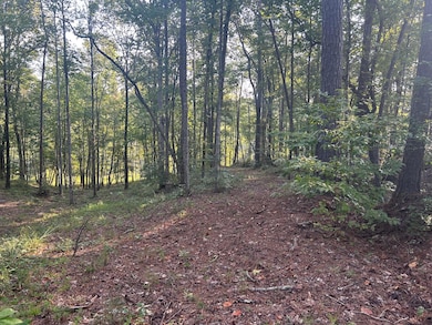 LOT 2 Shoreside at Sipsey, Double Springs, AL 35553 - photo 2