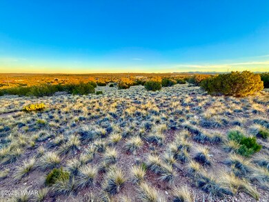 136 Zuni Dr, Concho, AZ 85924 - photo 2