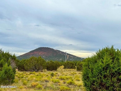 890 E Hoctor Rd, Williams, AZ 86046 - photo 2