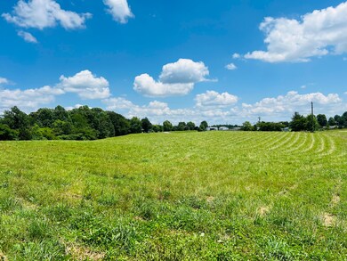 IMG_4659