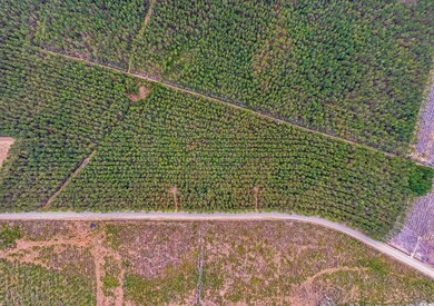 TBD Joyner Swamp Rd unit Lot 7A, Galivants Fry, SC 29544 - photo 6