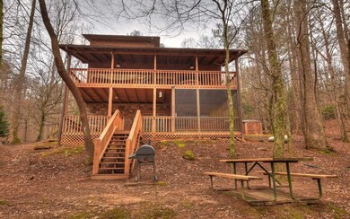 Additional View