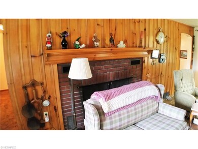 Wood burning fireplace