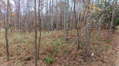 Lot 41 Oneal Rd, Champlain, VA 22438 - photo 4