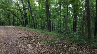 0 Linfield Ln unit 1276166, Bella Vista, AR 72715 - photo 7