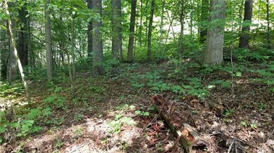 Gentle grade, nice oak trees