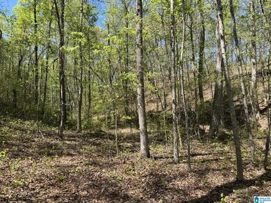 Tract 4 County Road 268 unit 4, Roanoke, AL 36274 - photo 3