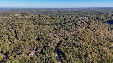 Tract 1 Everest Rd, Ruth A Township, MO 65656 - photo 2