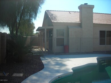 Backyard2