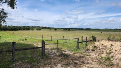 0 SW Pine Bluff Rd unit MFROM659447, Dunnellon, FL 34431 - photo 3