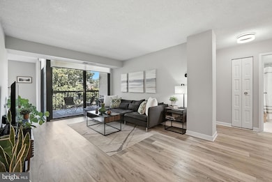 The Brittany unit 206, Arlington, VA 22204 - photo 3