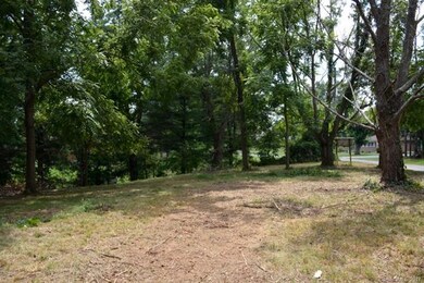 9999 Panorama Dr, Asheville, NC 28806 - photo 4