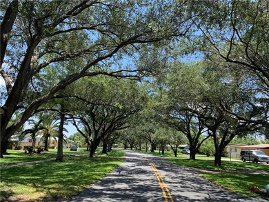 Tree-lined street