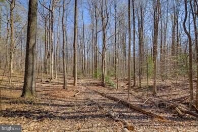 15159 Eclipse Dr, Manassas, VA 20112 - photo 7