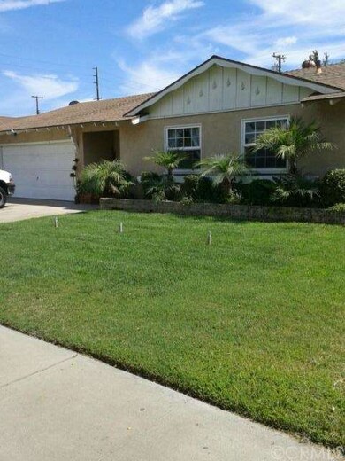 Lush Lawn