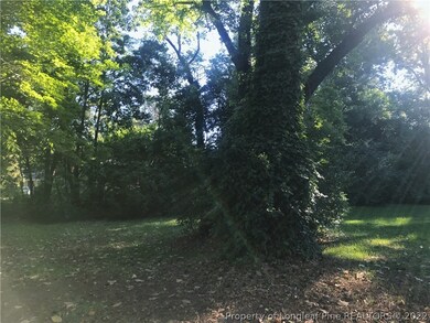 705 Miller Ave, Fayetteville, NC 28304 - photo 6