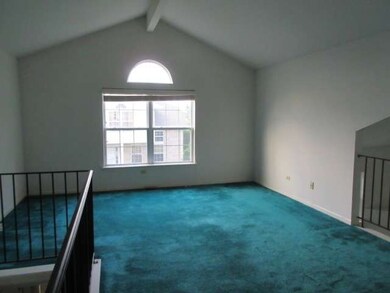 18063 Vista Dr unit 18063, Country Club Hills, IL 60478 - photo 4