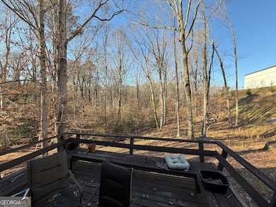 3415 Spring Valley Blvd, Atlanta, GA 30349 - photo 5