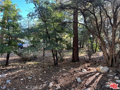 0 Kern Ave unit 25621451, Big Bear, CA 92386 - photo 3