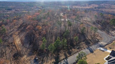 0 Orchard Hill Lot 11 Ph 3 unit 22016476, Conway, AR 72034 - photo 7