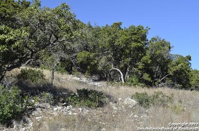 19719 Terra Mont, San Antonio, TX 78255 - photo 4