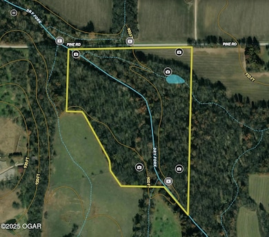 000 Pine Rd, Carthage, MO 64836 - photo 5