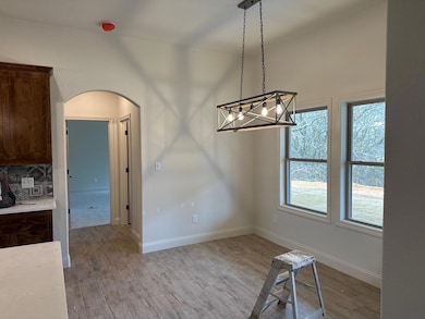 124 Oaks Springs Ln, Weatherford, TX 76087 - photo 5