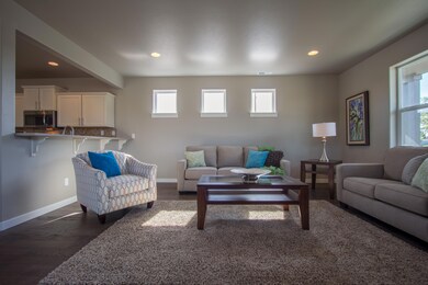 Metolius Living Room 2