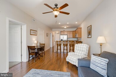 103 N Irving Ave unit 305, Colonial Beach, VA 22443 - photo 4