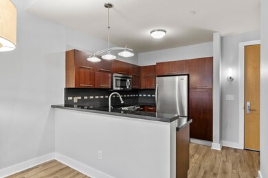 Kitchen featuring light wood-type flooring, dark 