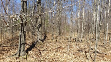 20150418_122749